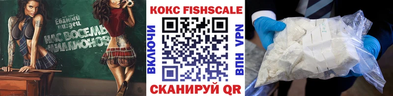 как найти наркотики  kraken ссылки  Кокаин Fish Scale  Каспийск 