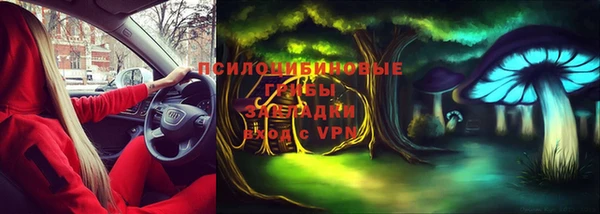 мдпв Арсеньев