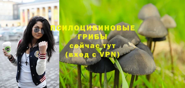 синтетический гашиш Армянск