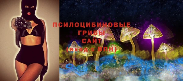 мдпв Арсеньев