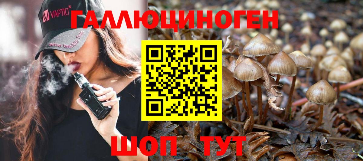 Галлюциногенные грибы MAGIC MUSHROOMS  Псилоцибиновые грибы Psilocybe  Вход с VPN  Каспийск 