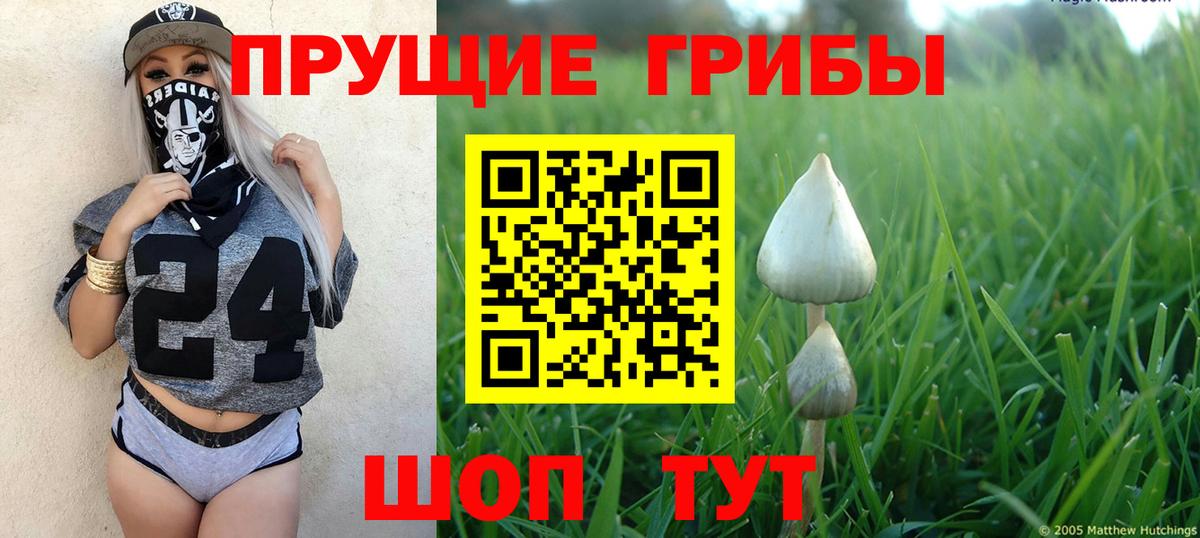 Галлюциногенные грибы Каспийск