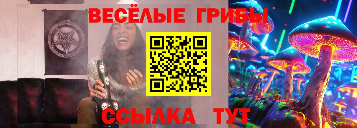 Псилоцибиновые грибы Magic Shrooms Каспийск
